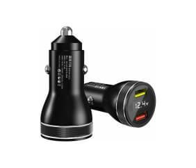 Metallic Pleated Maxi Skirt